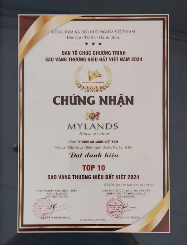 chứng nhận Top 10